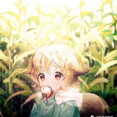 张雪机车练习赛第11名